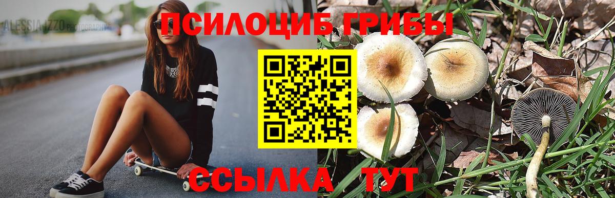Жигулёвск  Псилоцибиновые грибы Psilocybe  Вход с VPN 